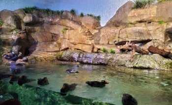 Monterey Bay Aquarium
