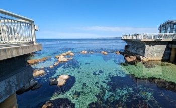 Monterey Bay Aquarium