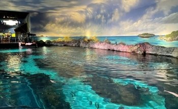 Ripley's Aquarium of the Smokies