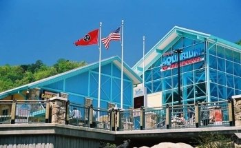 Ripley's Aquarium of the Smokies