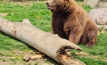 Columbus Zoo and Aquarium