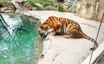 Columbus Zoo and Aquarium