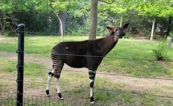 Columbus Zoo and Aquarium