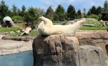 Columbus Zoo and Aquarium