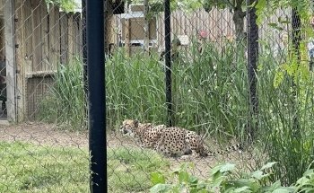 Columbus Zoo and Aquarium