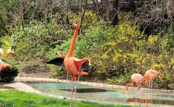 Columbus Zoo and Aquarium