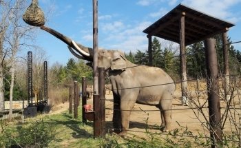 Columbus Zoo and Aquarium