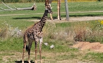 Columbus Zoo and Aquarium