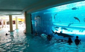 Golden Nugget Las Vegas Hotel & Casino