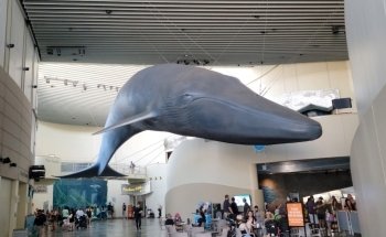 Aquarium of the Pacific