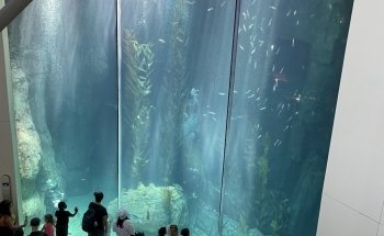 Aquarium of the Pacific