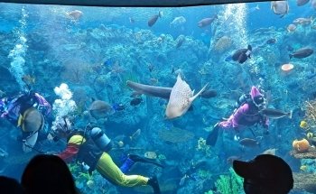 Aquarium of the Pacific