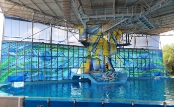 SeaWorld San Antonio
