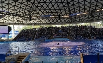 SeaWorld San Antonio