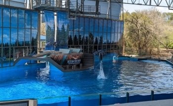 SeaWorld San Antonio
