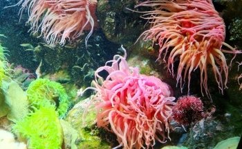 National Aquarium