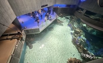 National Aquarium