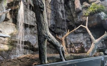 National Aquarium