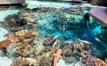 National Aquarium