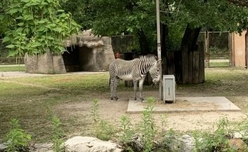 Brookfield Zoo