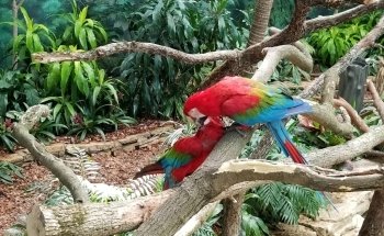 Brookfield Zoo