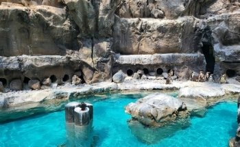 Brookfield Zoo