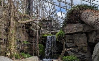 Tennessee Aquarium