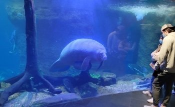 The Dallas World Aquarium