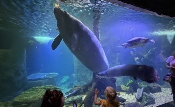 The Dallas World Aquarium