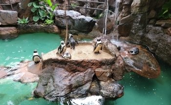 The Dallas World Aquarium