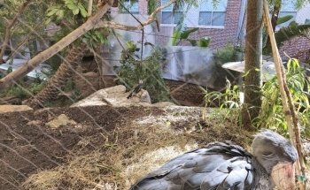 The Dallas World Aquarium