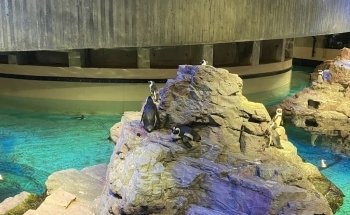 New England Aquarium