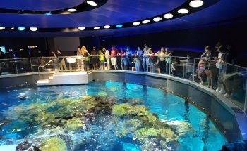 New England Aquarium