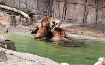 Indianapolis Zoo