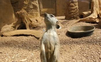 Indianapolis Zoo
