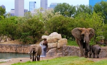 Indianapolis Zoo