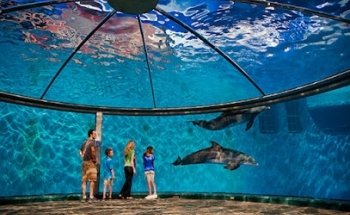 Indianapolis Zoo