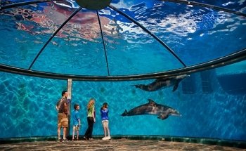 Indianapolis Zoo
