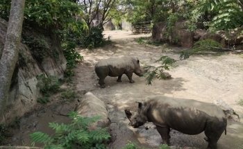 Indianapolis Zoo