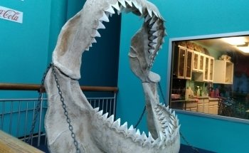 Ripley's Aquarium of Myrtle Beach
