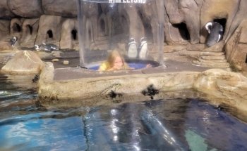 Ripley's Aquarium of Myrtle Beach