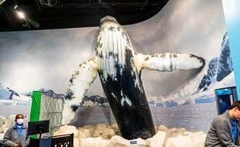 Newport Aquarium