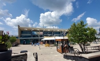 Newport Aquarium