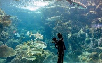 The Florida Aquarium