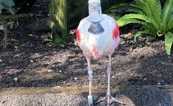 The Florida Aquarium