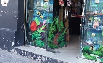 Discus Aquarium Morón