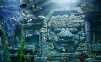 Downtown Aquarium
