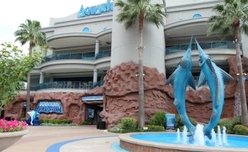 Downtown Aquarium