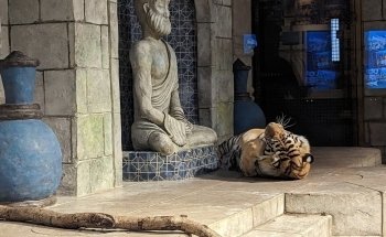 Downtown Aquarium