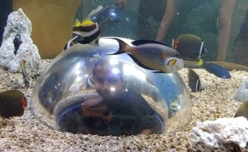 Adventure Aquarium